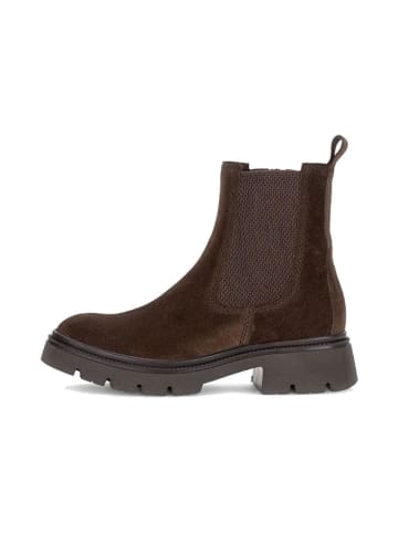 Gabor SHOES "8021.01.010" in cacao (El.texture)