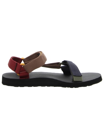 Teva Sandale in schwarz