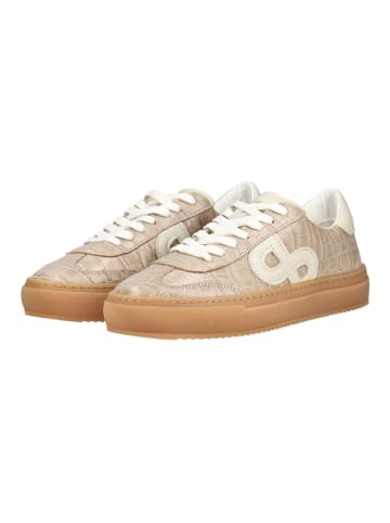 Pavement Sneaker KOHIA CROCO KOHIA CROCO in Beige