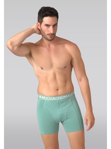 Muchachomalo 7er-Set: Boxershort in Mehrfarbig - für Herren