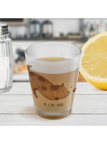 Mr. & Mrs. Panda Schnapsglas Hund Marienkäfer ohne Spruch in Transparent