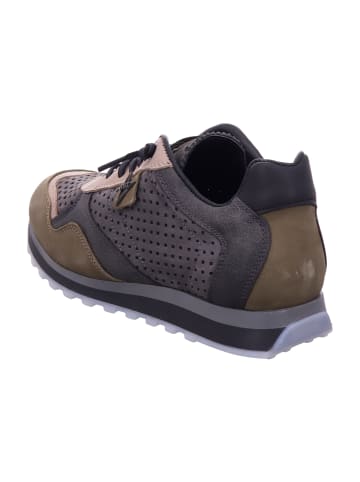 Cetti Sportliche Schnürschuhe in Grün