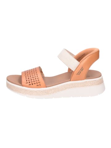 Skechers Schnürschuh in braun