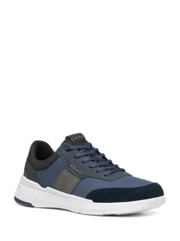 Geox Sneackers U in Blue/Navy
