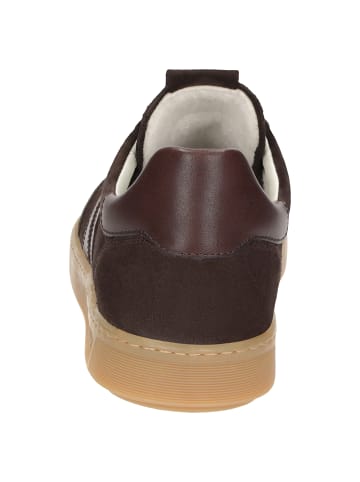 Sioux Sneaker Tedroso-713 in dunkelbraun