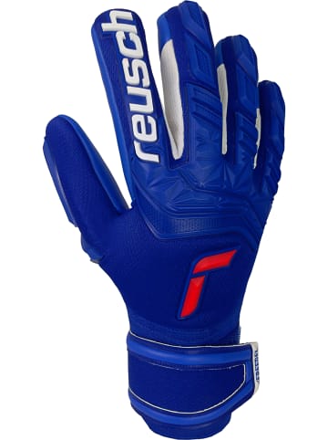 Reusch Torwarthandschuhe Attrakt Freegel Silver in deep blue / deep blue