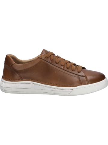 Josef Seibel Sneaker Cleve 02 in braun