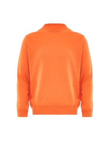 NALLY Pullover in Orange