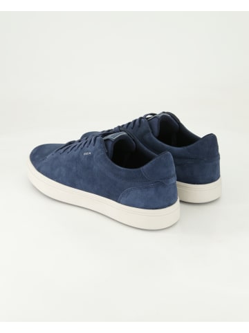 Geox Sneaker low in Blau