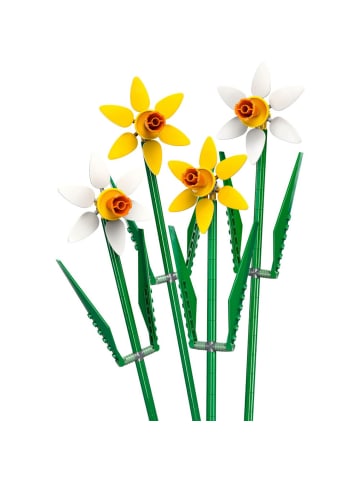 LEGO Icons Narzissen in Mehrfarbig ab 8 Jahre