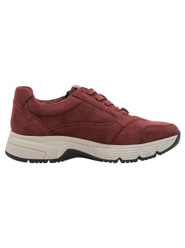 Tamaris COMFORT Sneaker in BORDEAUX