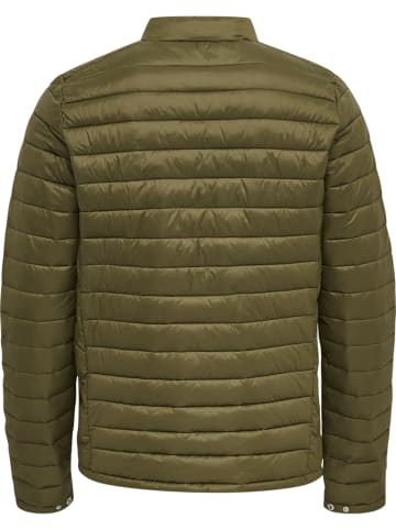 Hummel Hummel Jacke Hmlred Multisport Herren in DARK OLIVE