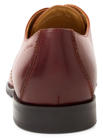 DIGEL Business-Schuhe Sebastian in cognac - 0001