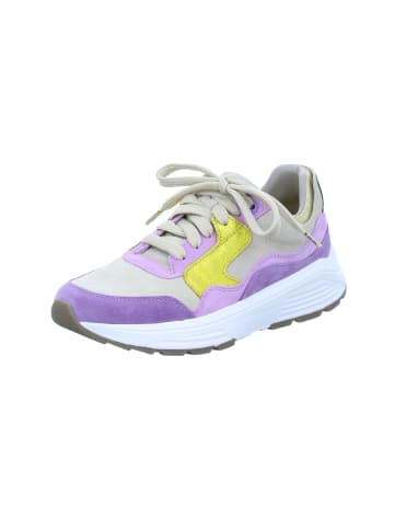 Xsensible Schnürschuhe Golden Gate in lilac combi