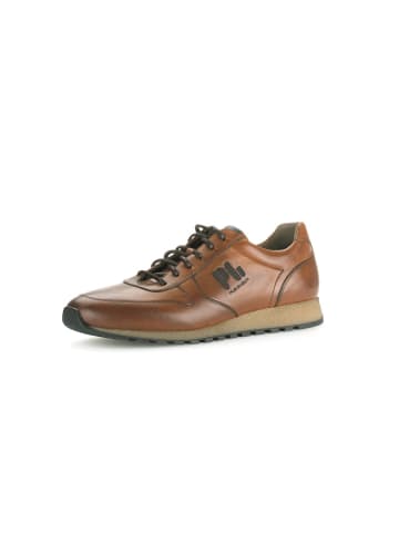 Pius Gabor Sneaker low in braun