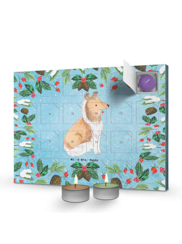 Mr. & Mrs. Panda Adventskalender Langhaar Collie Moment ohne Spruch in Eisblau