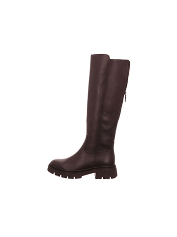 Gabor Langschaft-Stiefel in dark brown