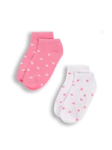 Coccodrillo Socken in bunt