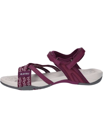 Hi-Tec Sandalen Savanna II in beere in beere