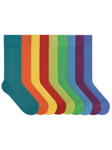 von Jungfeld Classic Socken-Set Signature Innenbund in Rainbowstreet