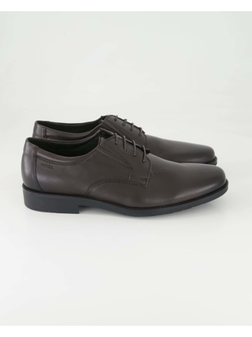 DIGEL Anzug- & Businessschuhe in Braun