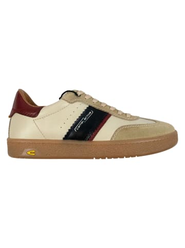 Camel Active Sneaker in Mehrfarbig