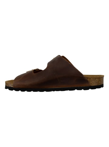 Camel Active Pantolette in Braun
