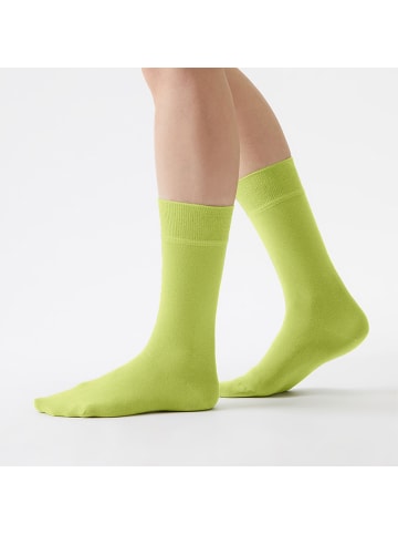 von Jungfeld Classic Socken-Set Signature Innenbund in Kunterbunt