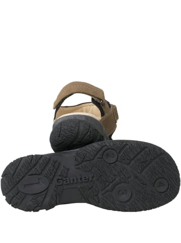 Ganter für Erwachsene in beige