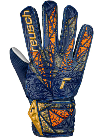 Reusch Torwarthandschuh Attrakt Starter Grip in 4410 premium blue/gold