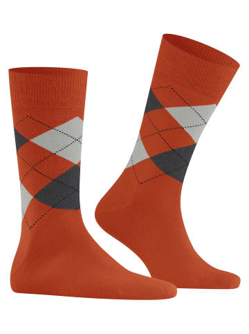 Burlington Socken Edinburgh in Ziegel