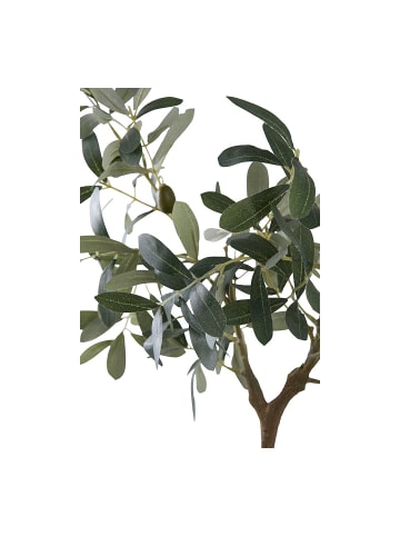 ebuy24 Kunstbaum Oliven Grün 23 x 37 cm