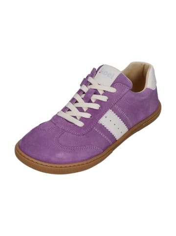 KOEL Sneaker Low DECLAN SUEDE 3.0 in lila