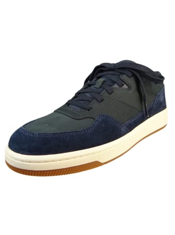 Timberland Sneaker blau