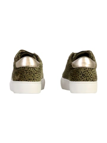 Kaporal Niedrige Sneakers mit Klettverschluss Toundra Grün