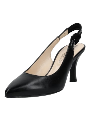 Nero Giardini Pumps in Schwarz