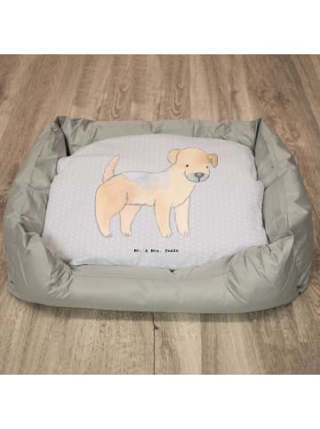 Mr. & Mrs. Panda Hundebett Border Terrier Lebensretter ohne Spruch in Grau Pastell