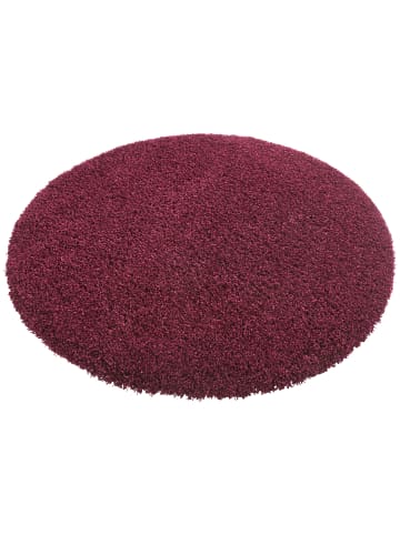 Tara Carpet Hochflorteppich Twilight in Bordeaux