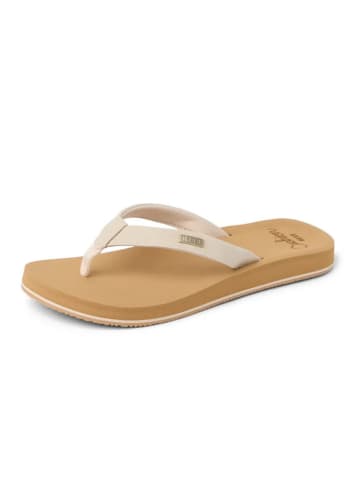 Reef Baja Sands Strandsandalen in schwarz