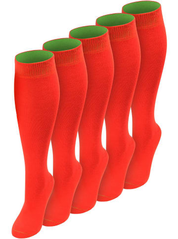 normani 5 Paar Kniestrümpfe mit farbig abgesetztem Bund Bi-Color in Rot/Apfelgrün