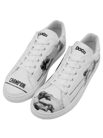 Dogo Ace Sneakers - Champion 41 in Weiß