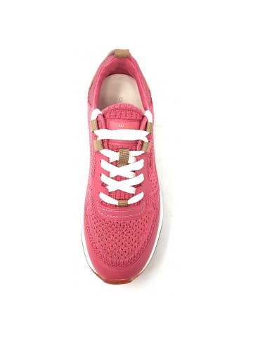 Gant Sneaker Trazyn in Pink