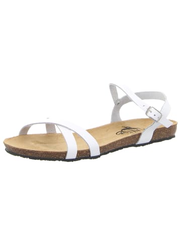 Plakton Riemchensandalette in weiss