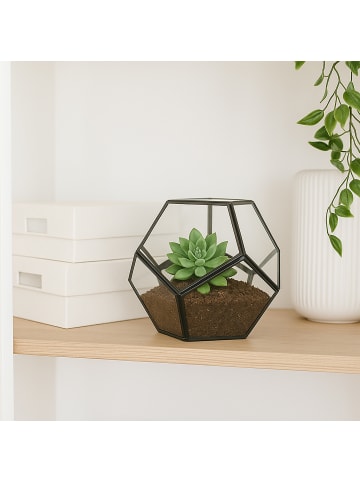 relaxdays Pflanzenterrarium "geometrisch" in Schwarz - (B)14 x (H)12 x (T)14 cm