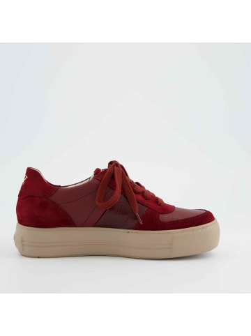 Paul Green Sneaker in rot