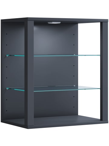 VCM  Holz Glas Stand Vitrine Sammelvitrine Glasol SW in Anthrazit