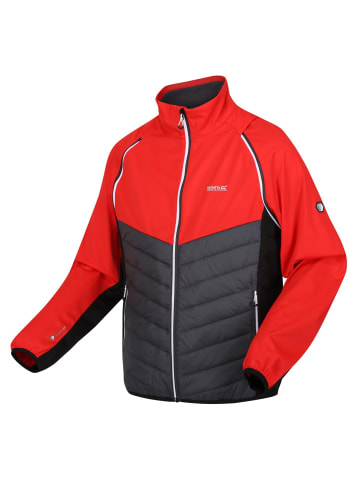 Regatta Softshelljacke Steren Hybrid in Rot
