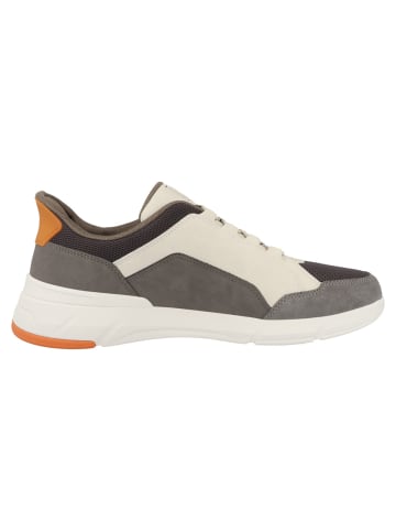 Geox Sneaker low U Vittour Plus A in grau