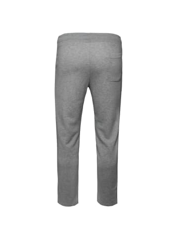 Alpha Industries Jogginghose Basic Jogger SL S Leg in grau