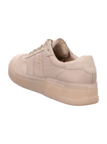 Paul Green Mokassins Schnürschuhe in Grau